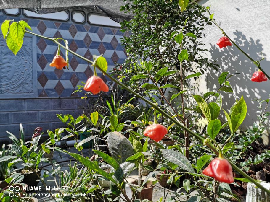 好吃好寨(一分场店)