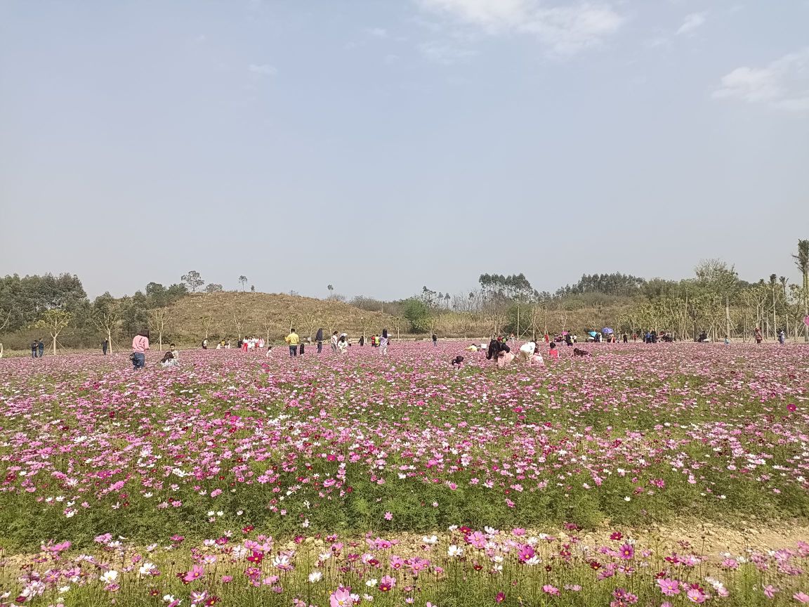 宾阳城北湿地公园