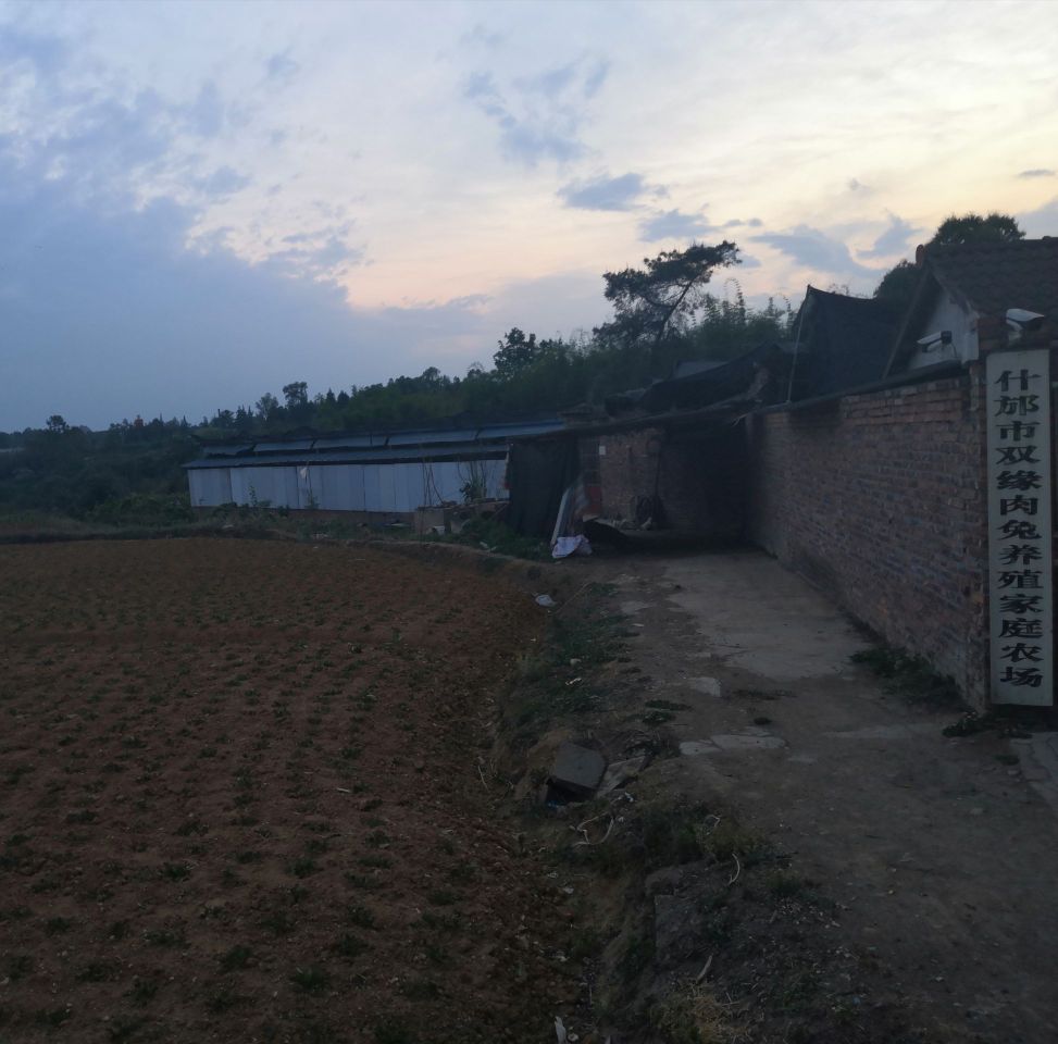 四川省德阳市什邡市双缘肉兔养殖家庭农场