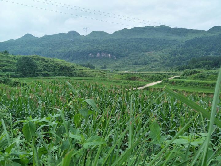 贵州省铜仁市松桃苗族自治县