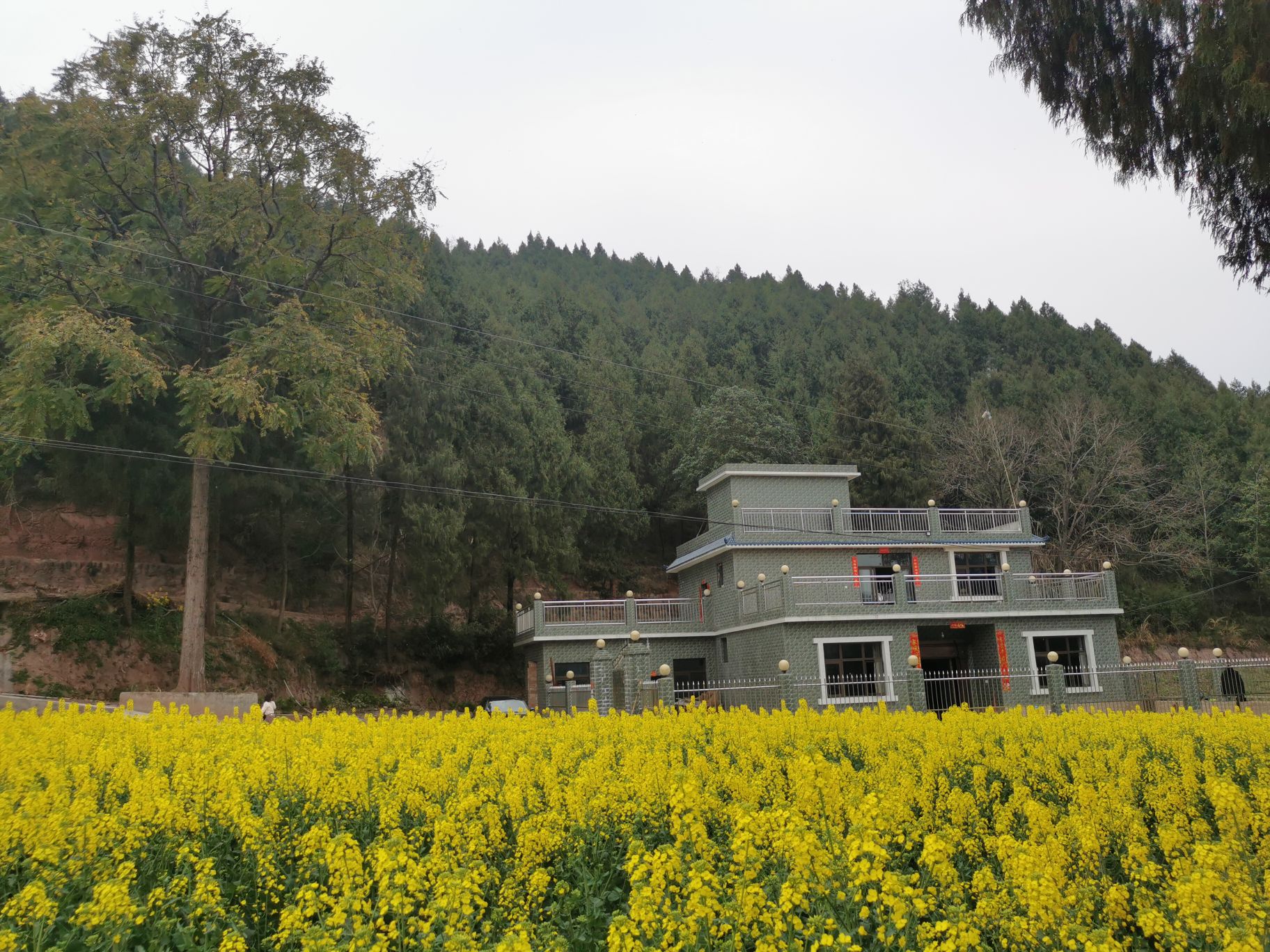 黃楝坪村地名網_四川省南充市西充縣仙林鎮黃楝坪村資料簡介