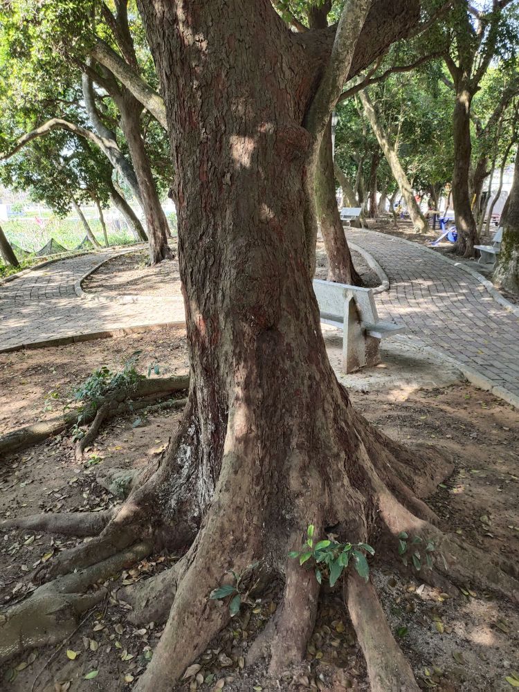 平定余村小公园