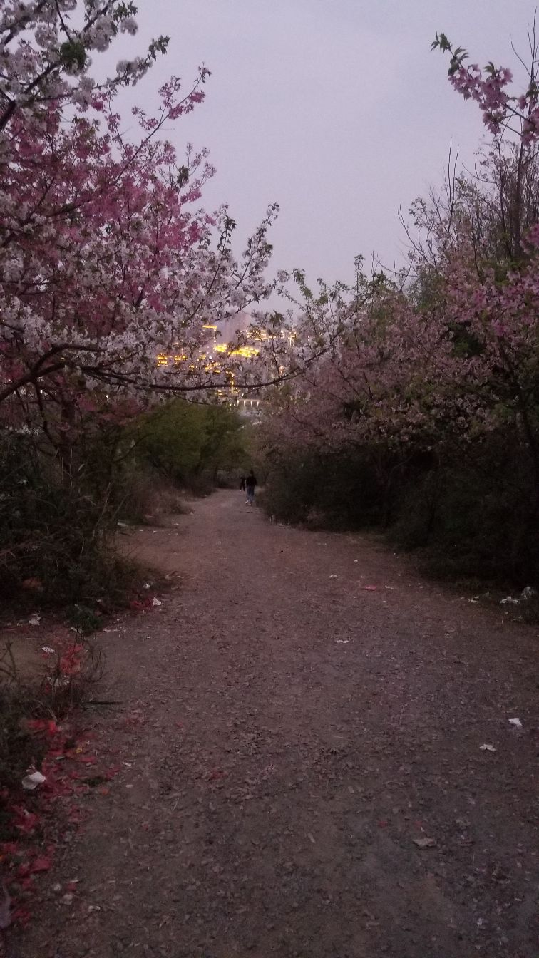 垫江忆花谷