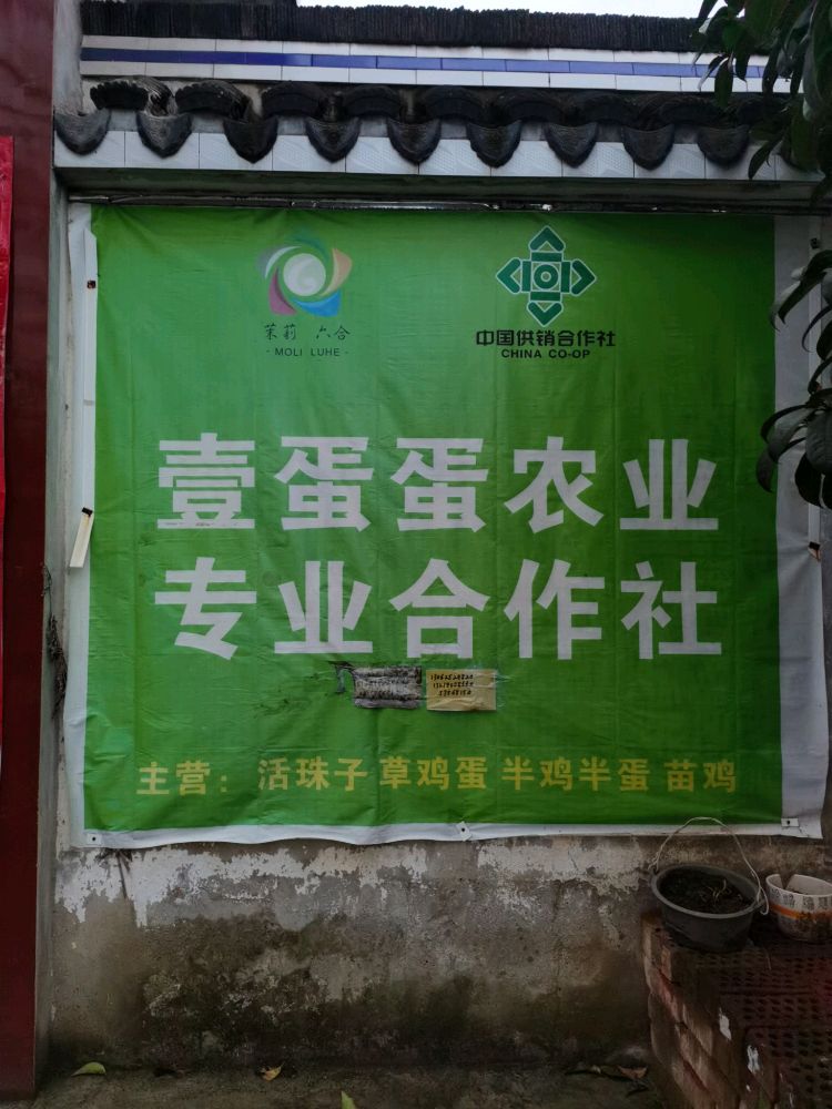 壹蛋蛋活珠子