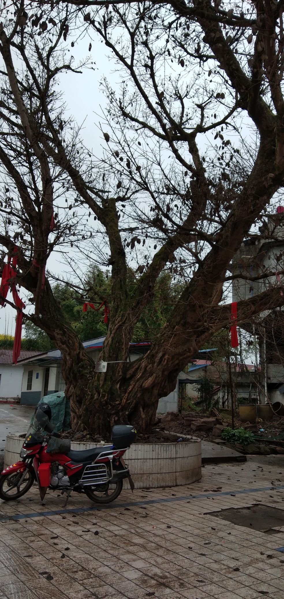 成都市简阳市一三四乡道