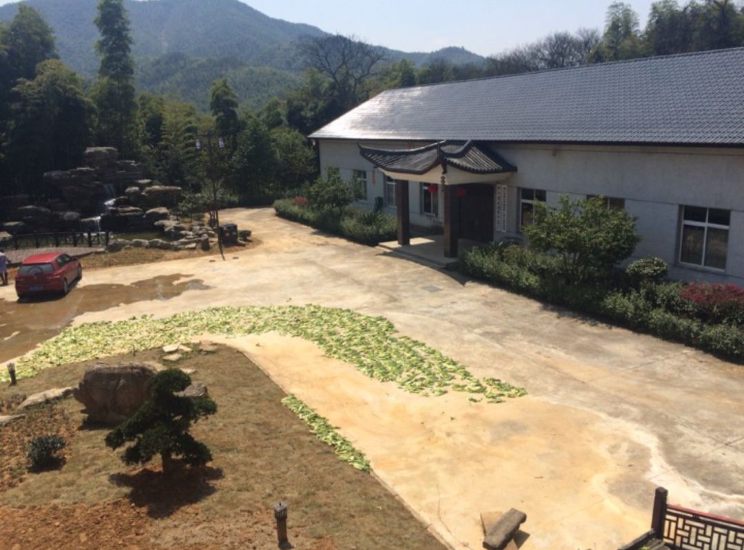 竹云间茶苑(枫林山庄)