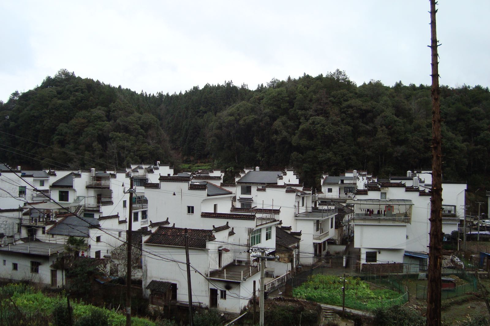 上饶市婺源县