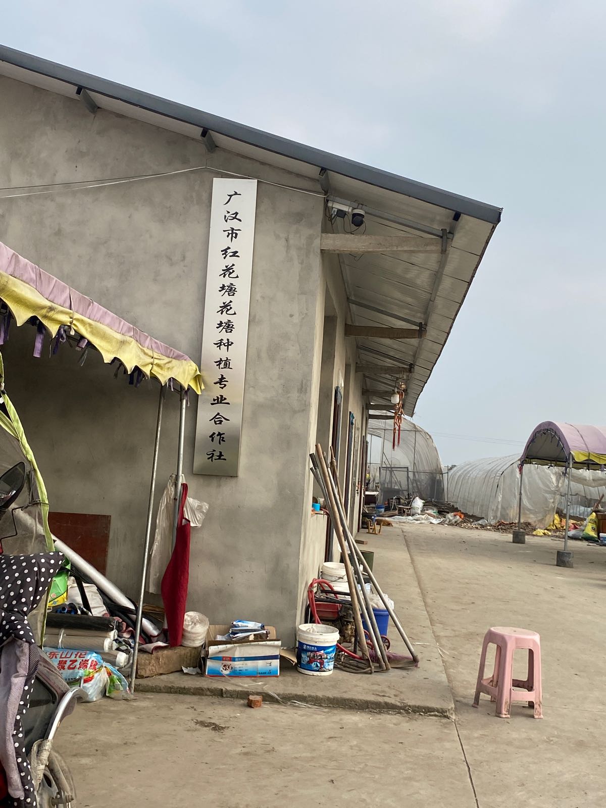 广汉市红花塘花塘种植专业合作社