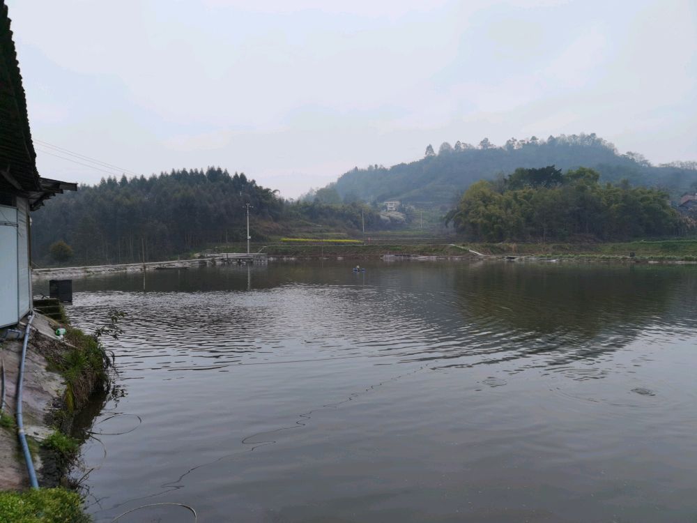 芳雪钓yu场