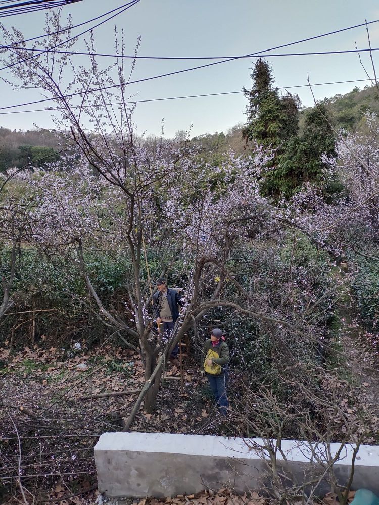 江苏省无锡市滨湖区雪浪街道西吴塘