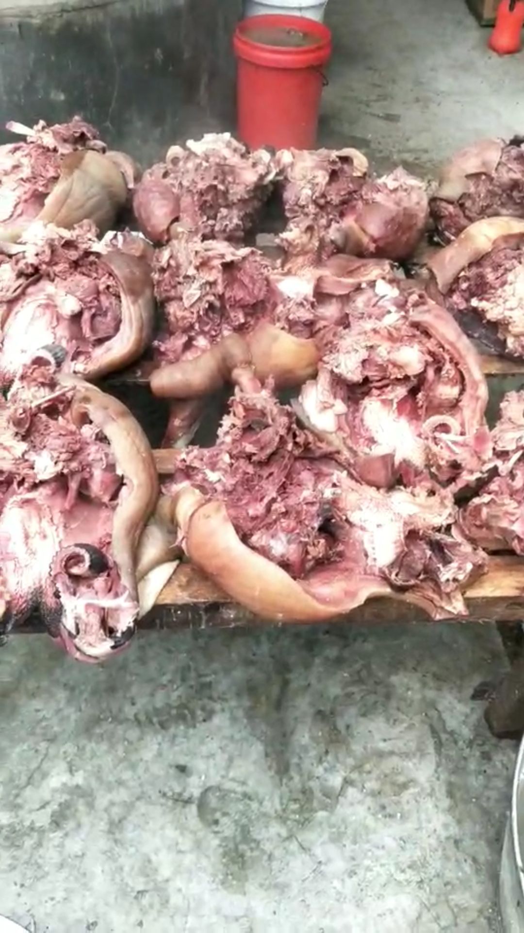 中鲁伊穆顺李刚全牛杂批发