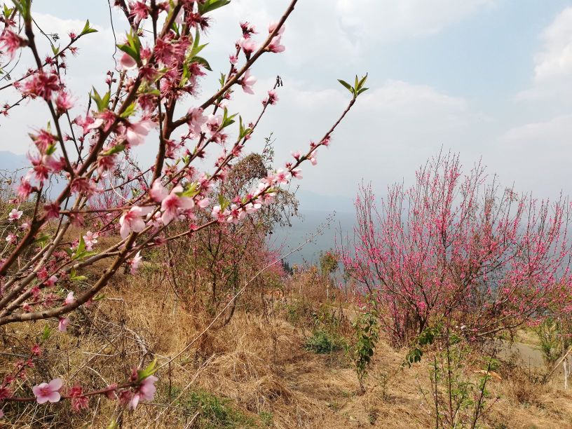 玉溪市华宁县大村--矣渡