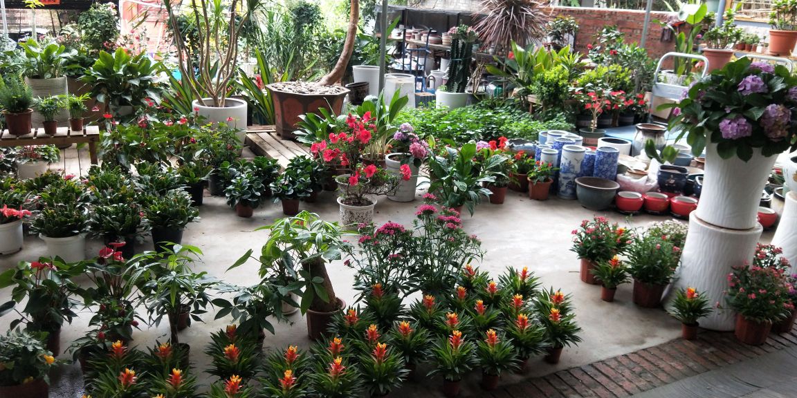 一朵鲜花(广湛路店)
