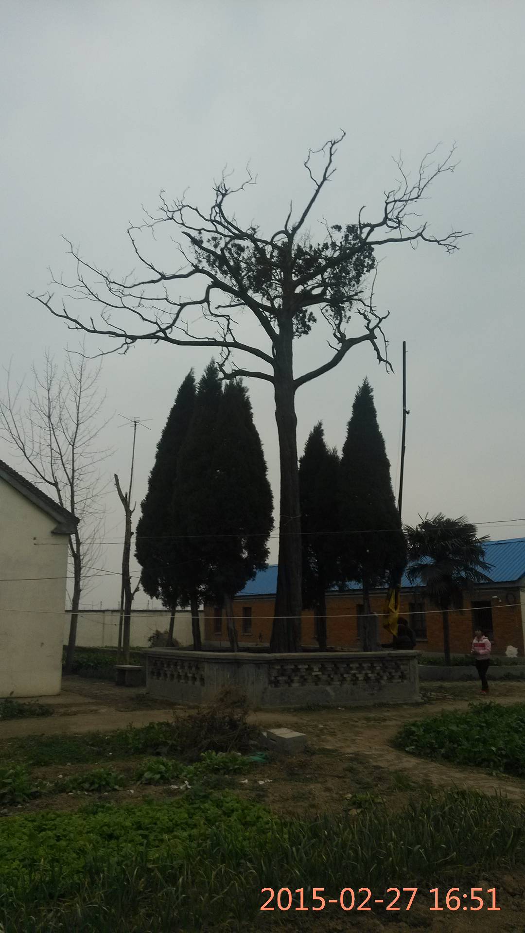 回龙寺