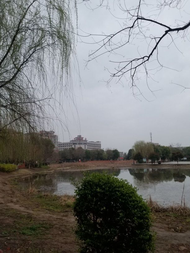 月湖公园