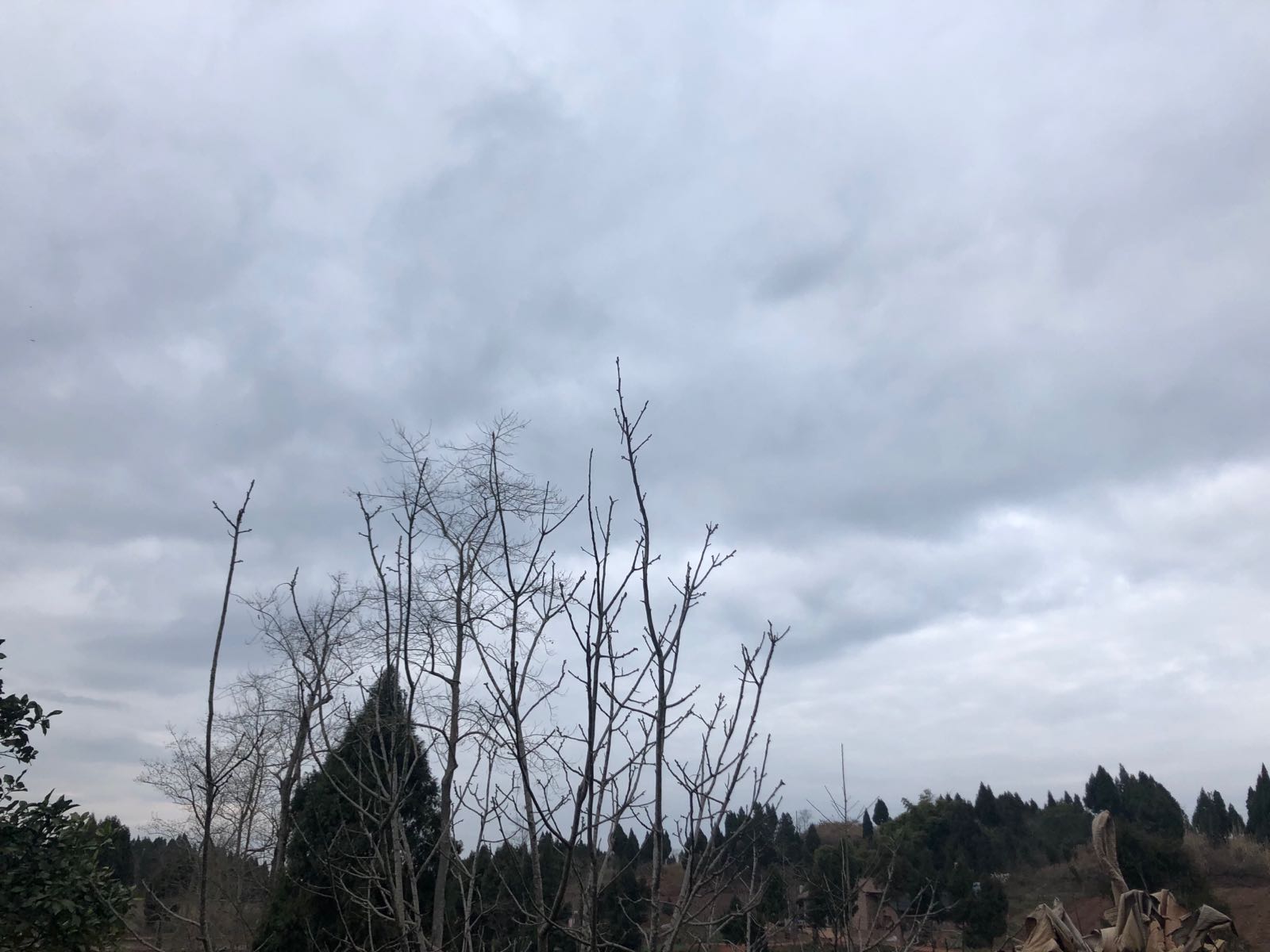 睦邻村