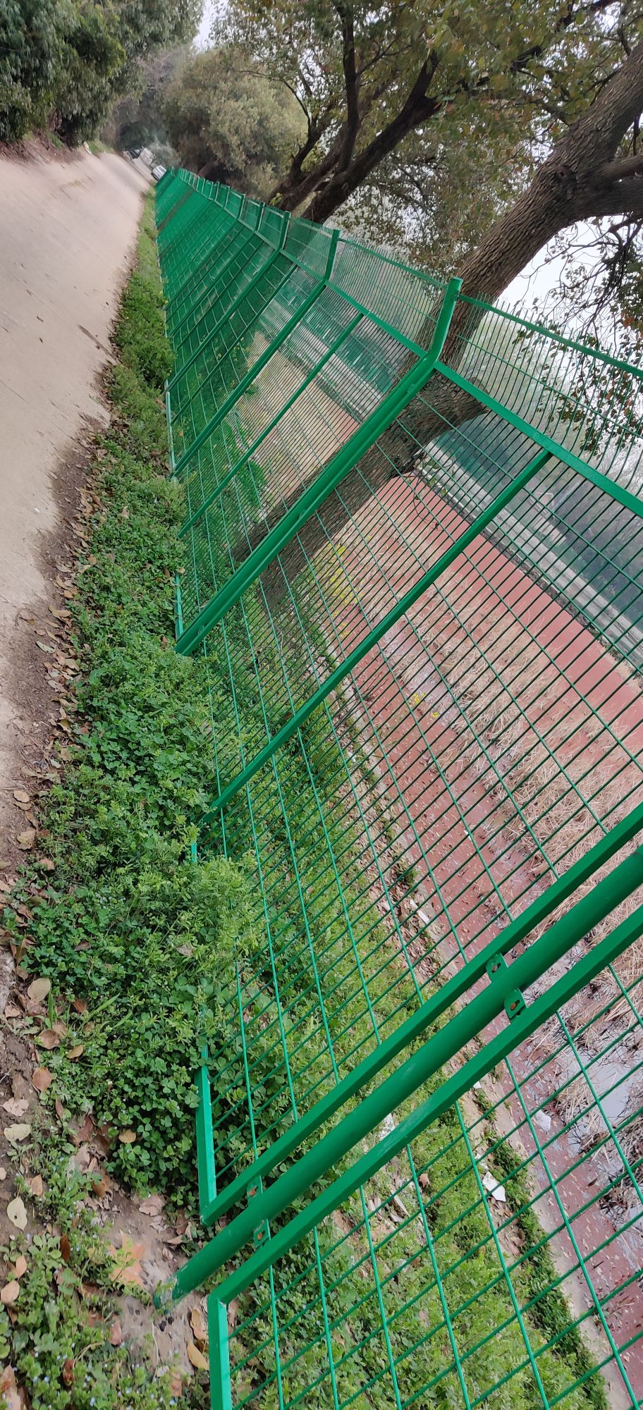 苗圃钓场
