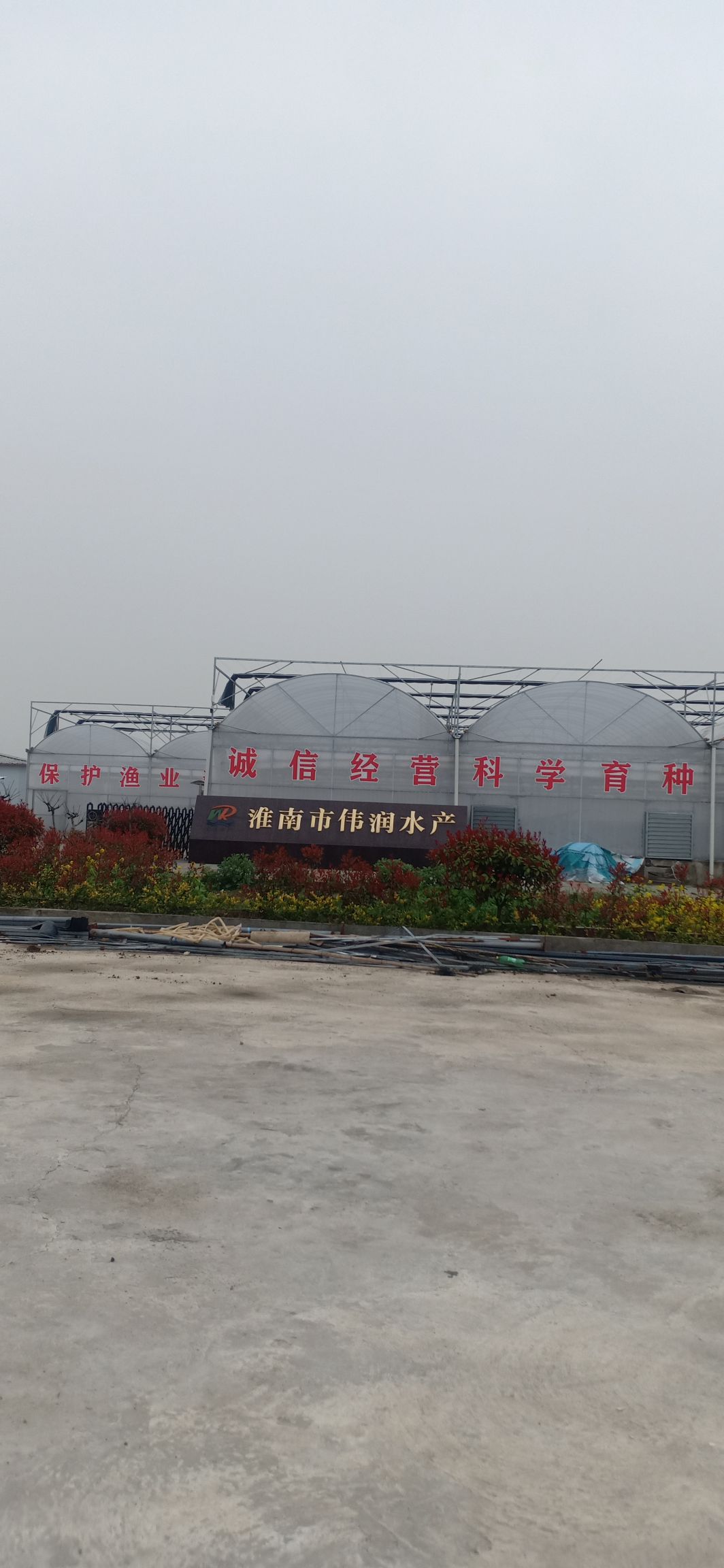 淮南市伟润水产