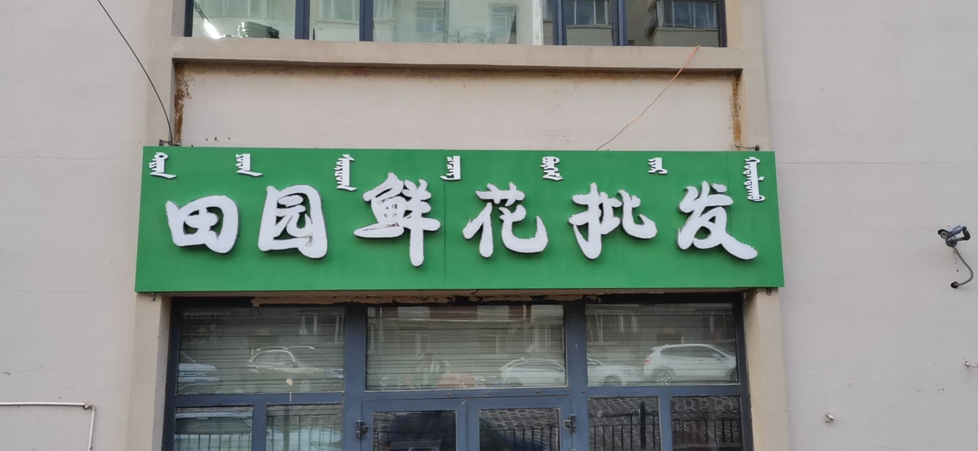 田园鲜花批发