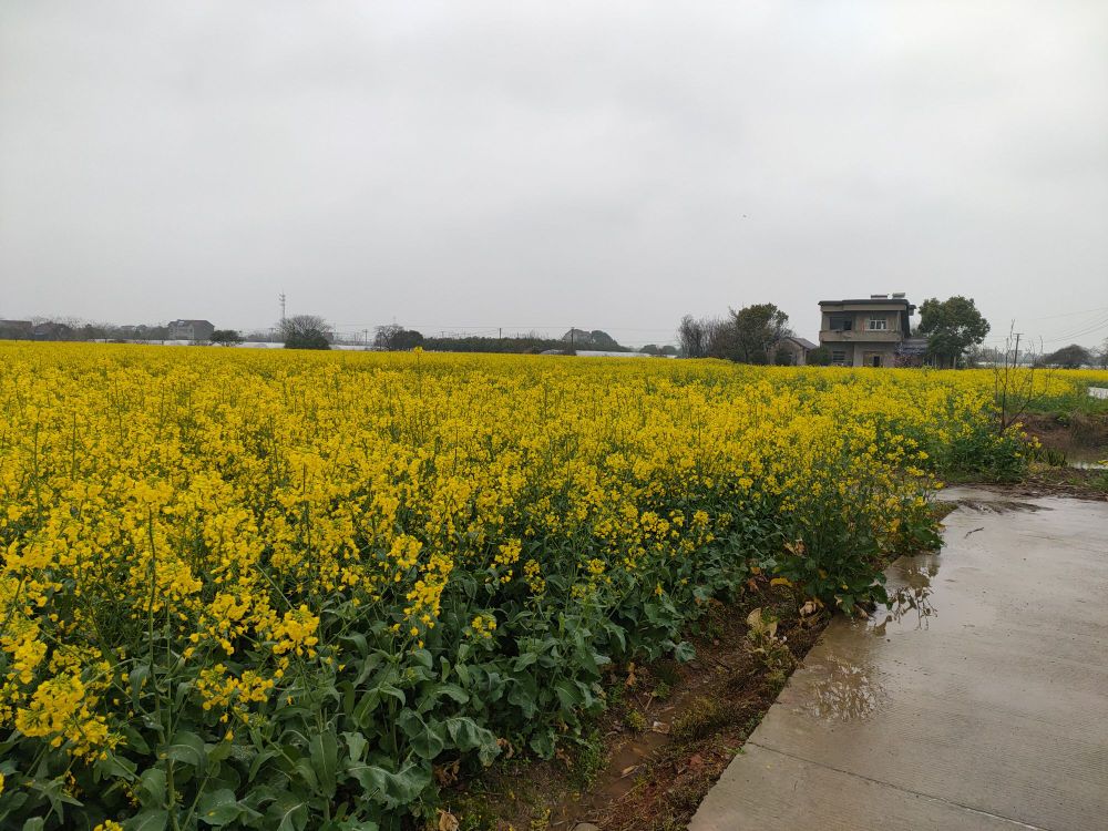 芜湖市湾沚区