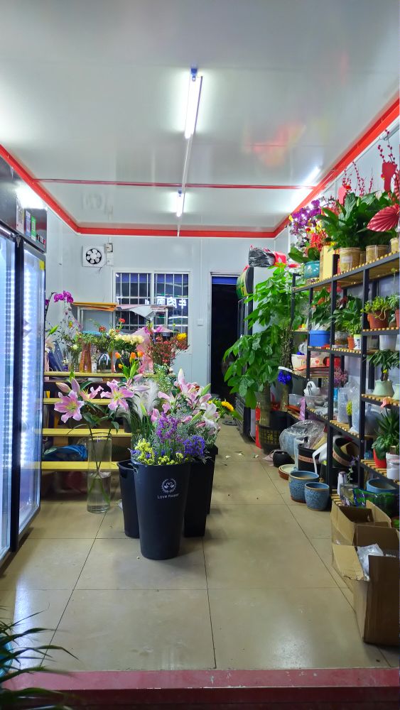 朱小姐的花店