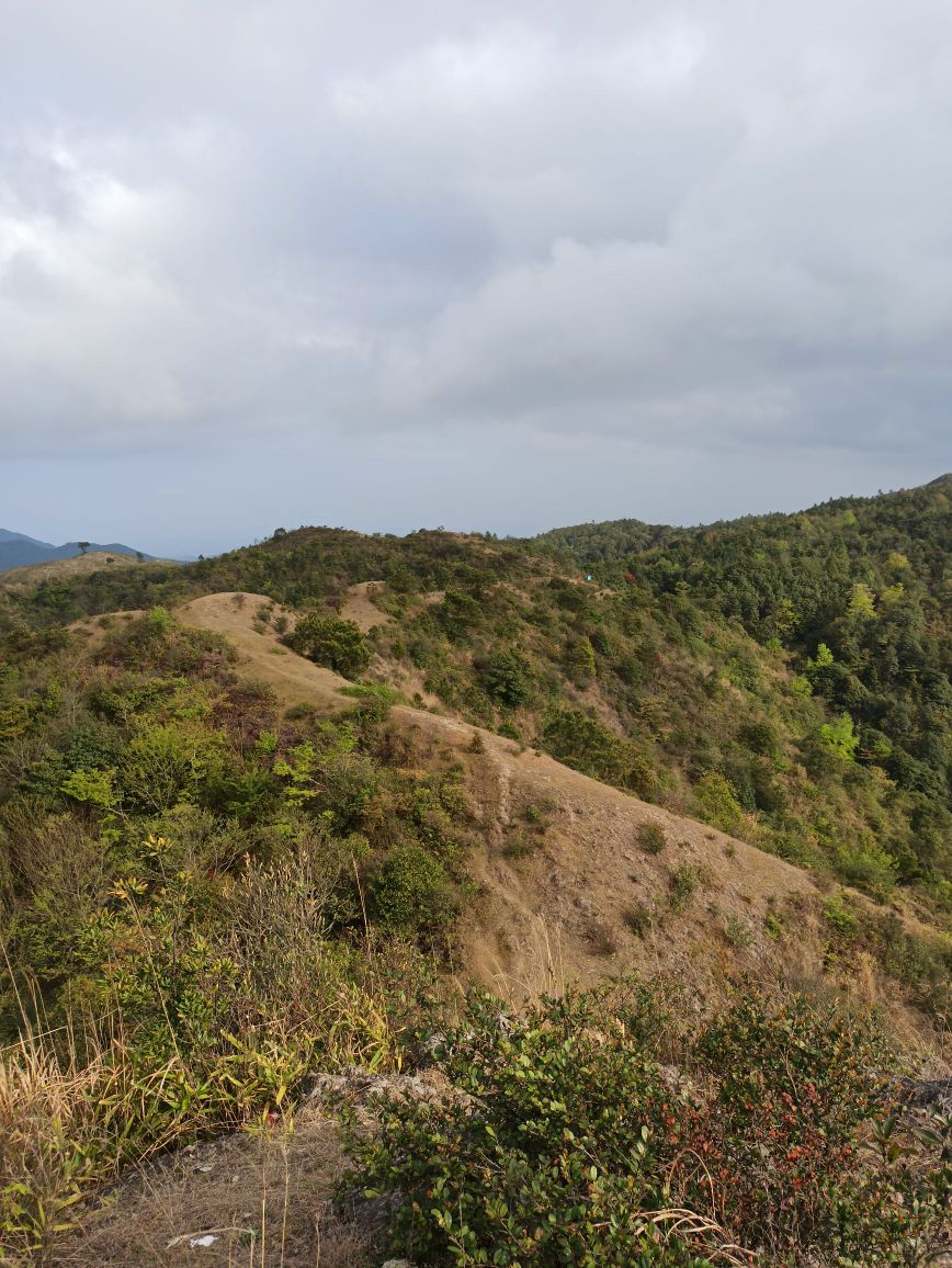 永安村