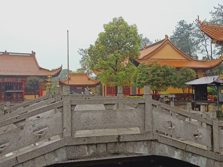 宝严寺