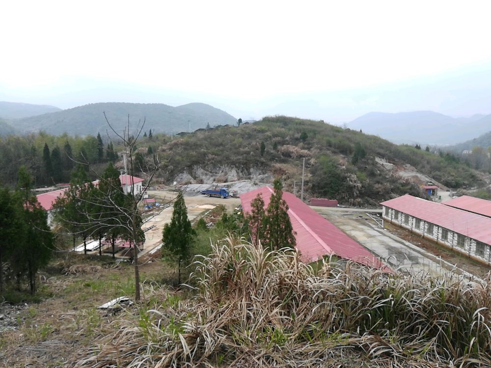 安徽省池州市石台县安元村黄岭生态家庭农场