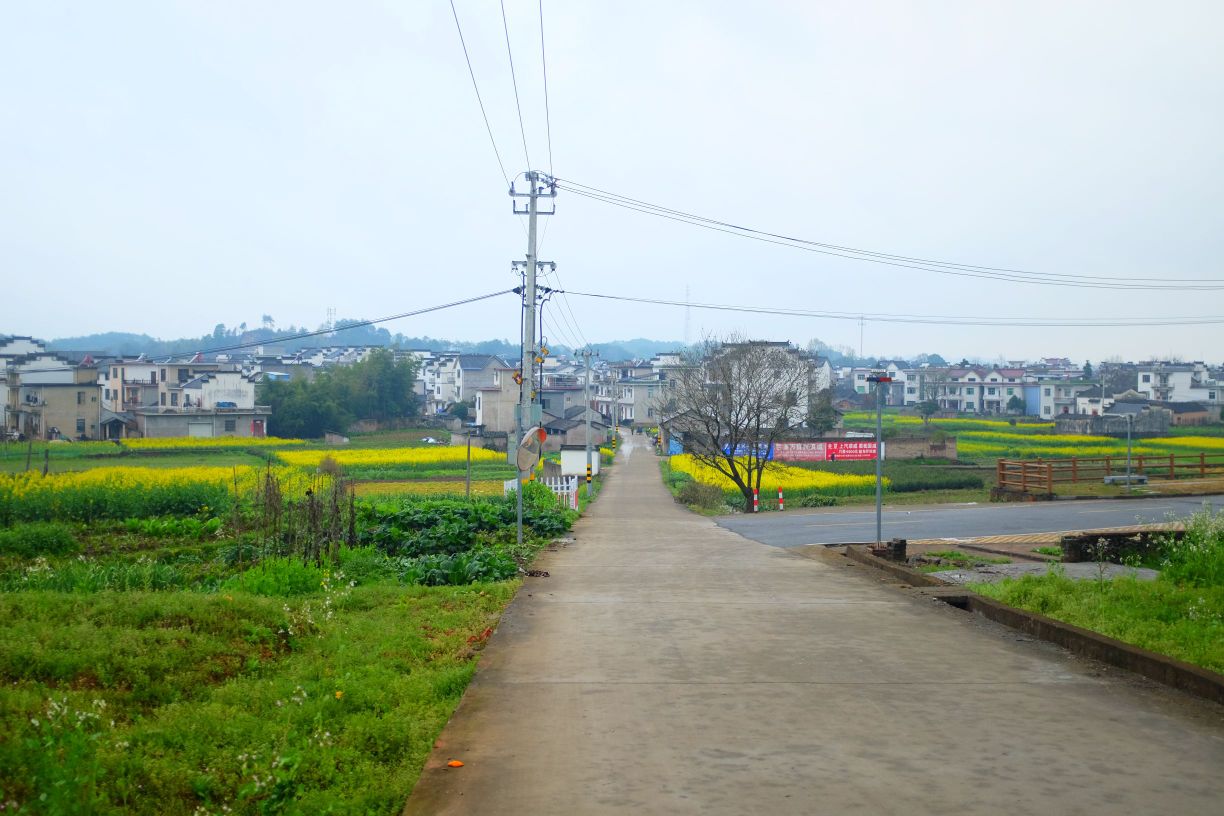 黄山市休宁县零二零县道