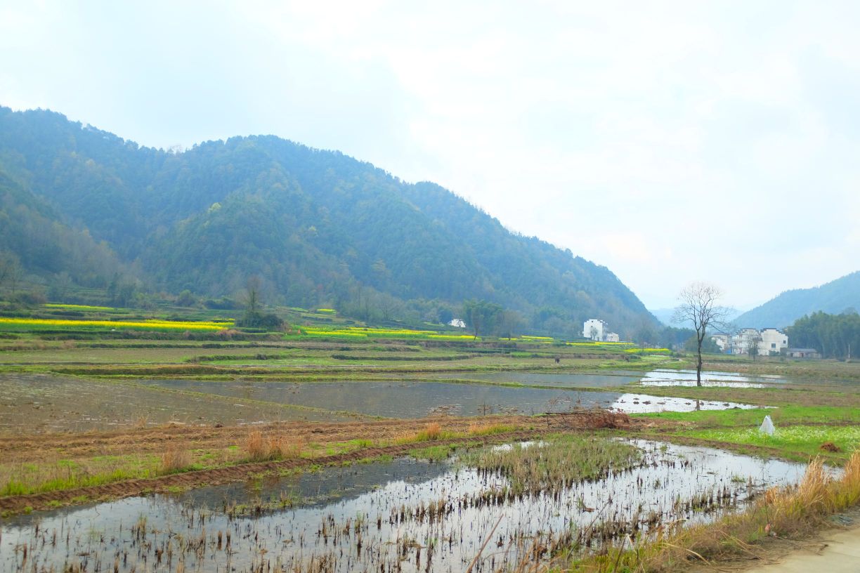 黄山市休宁县