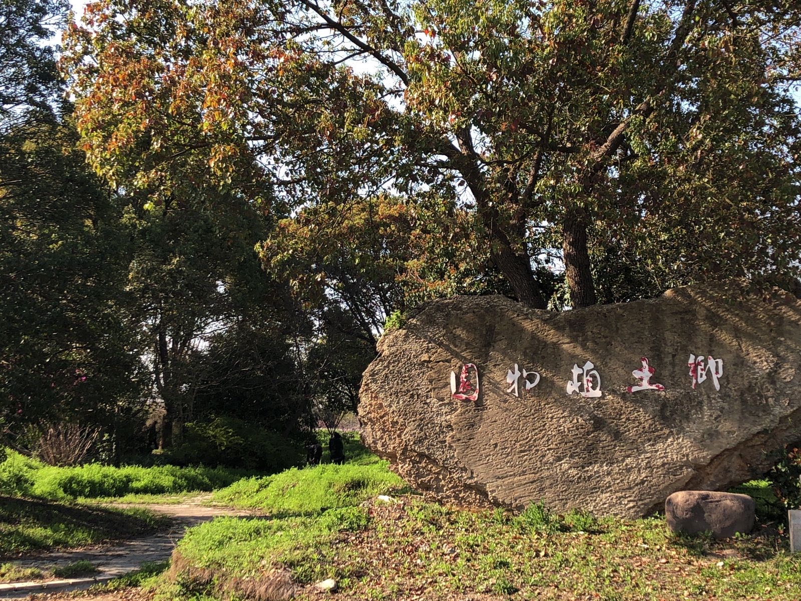 乡村植物园