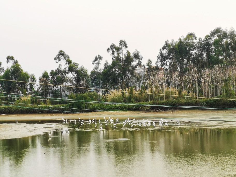 揭阳市揭东区