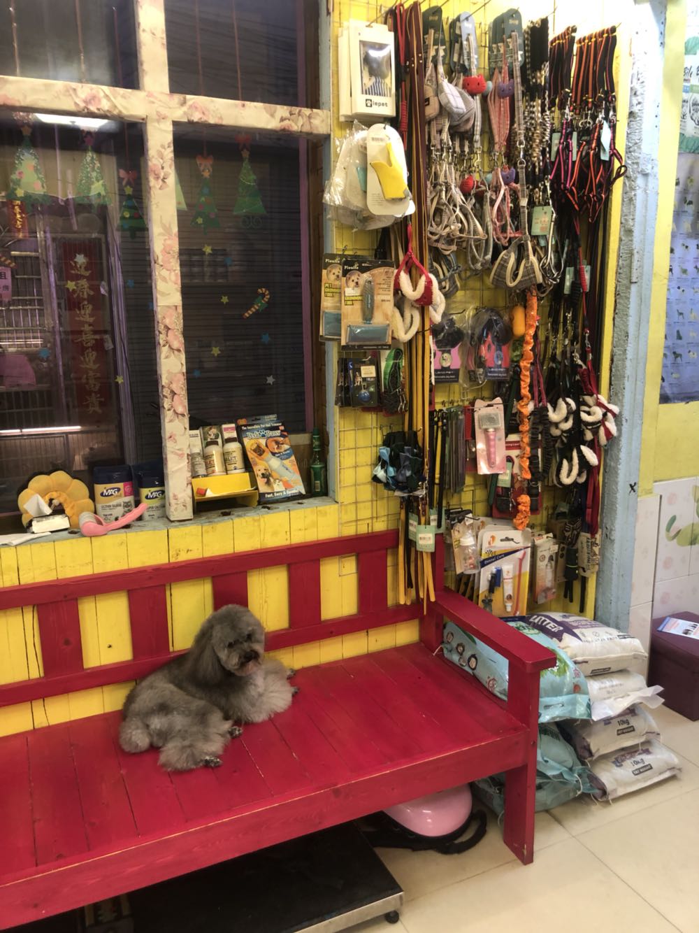 惠民宠物生活馆(和平路店)