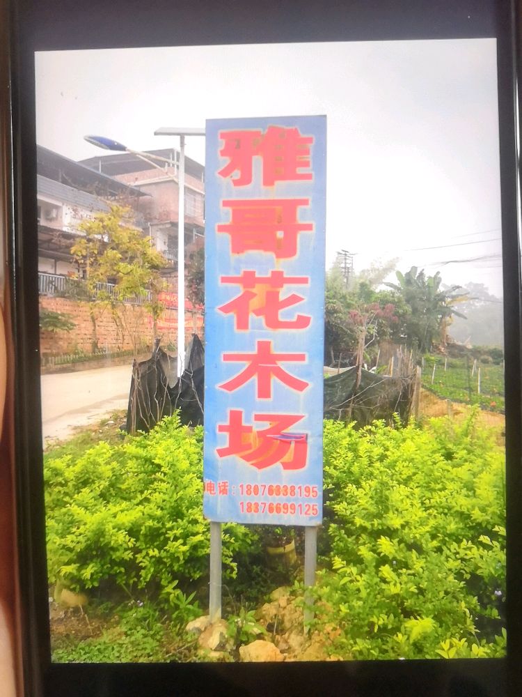 南宁市雅哥花木场