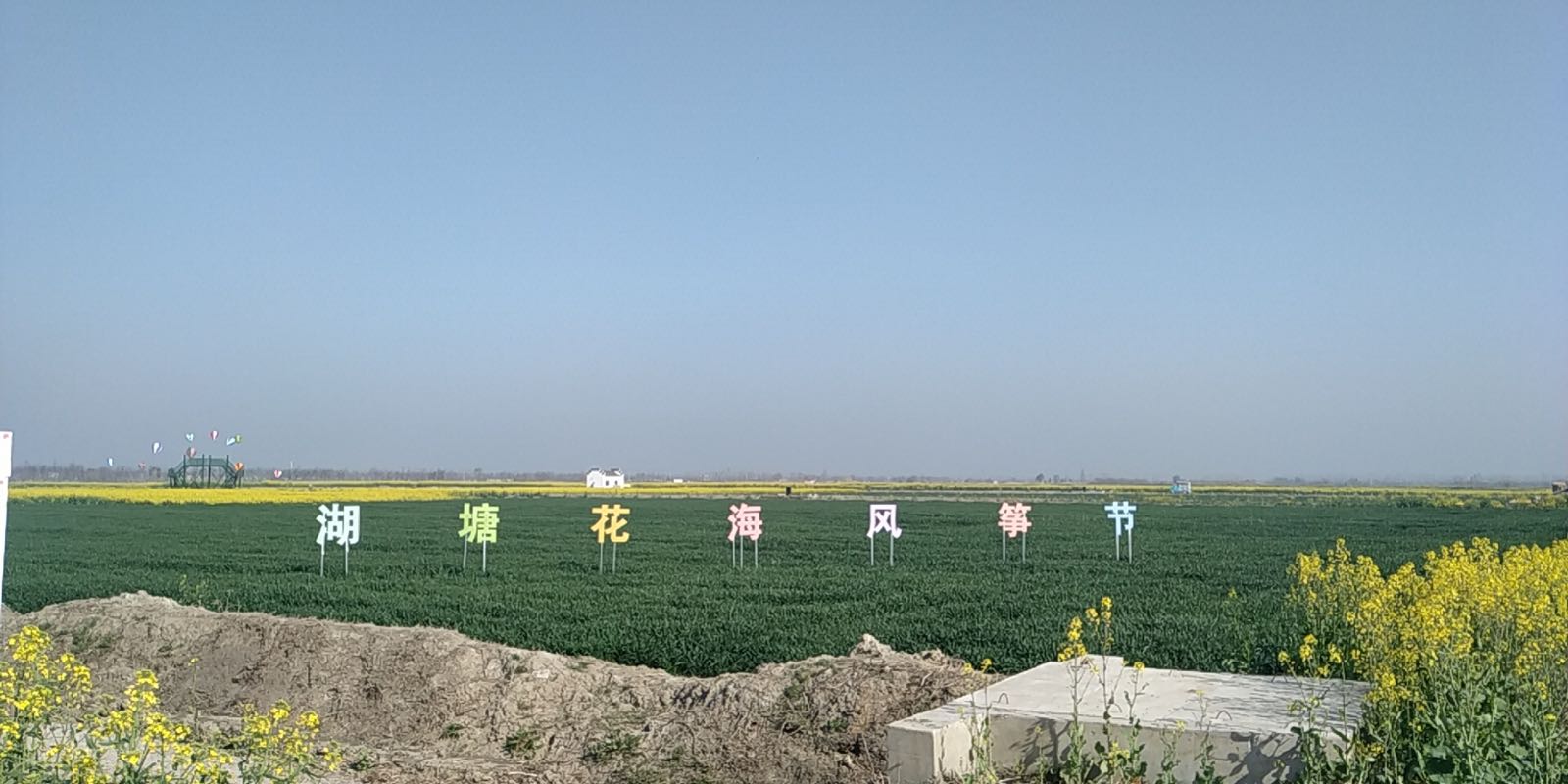 大纵湖湖塘花海