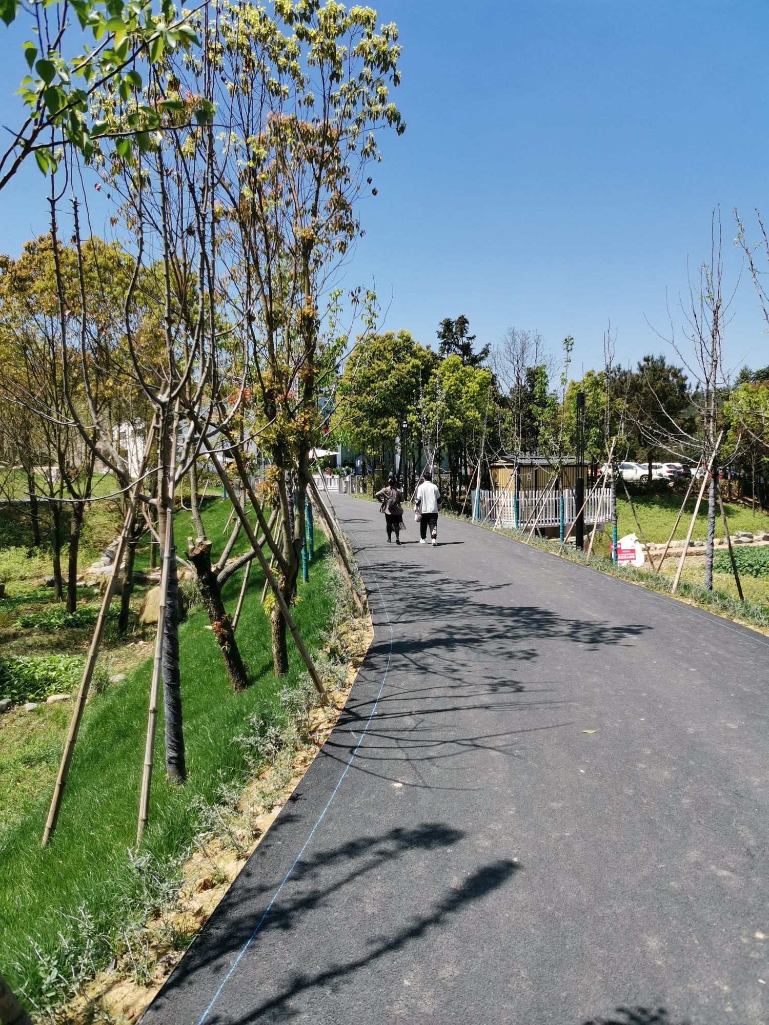 白色森林生日小镇