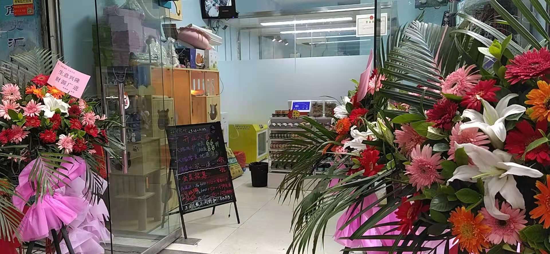 旺财宠吧宠物店