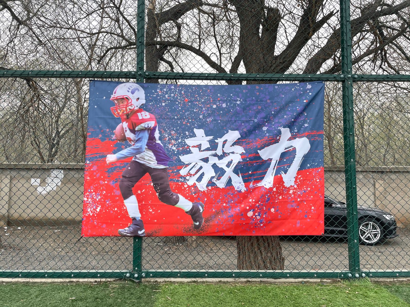 地址,地图,预定,价格,团购,优惠,北极熊橄榄球俱乐部在哪,怎么走_北京