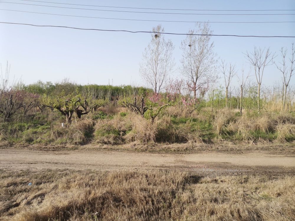 凤凰湖省级湿地公园