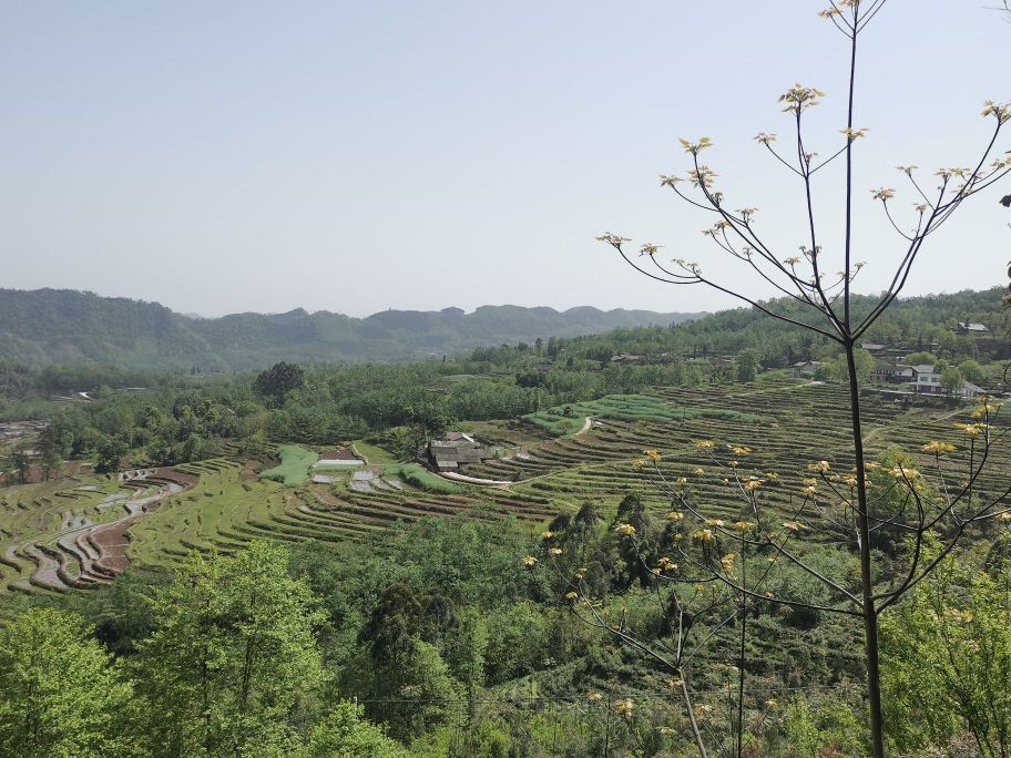 乐山市沙湾区葫芦镇四峨山