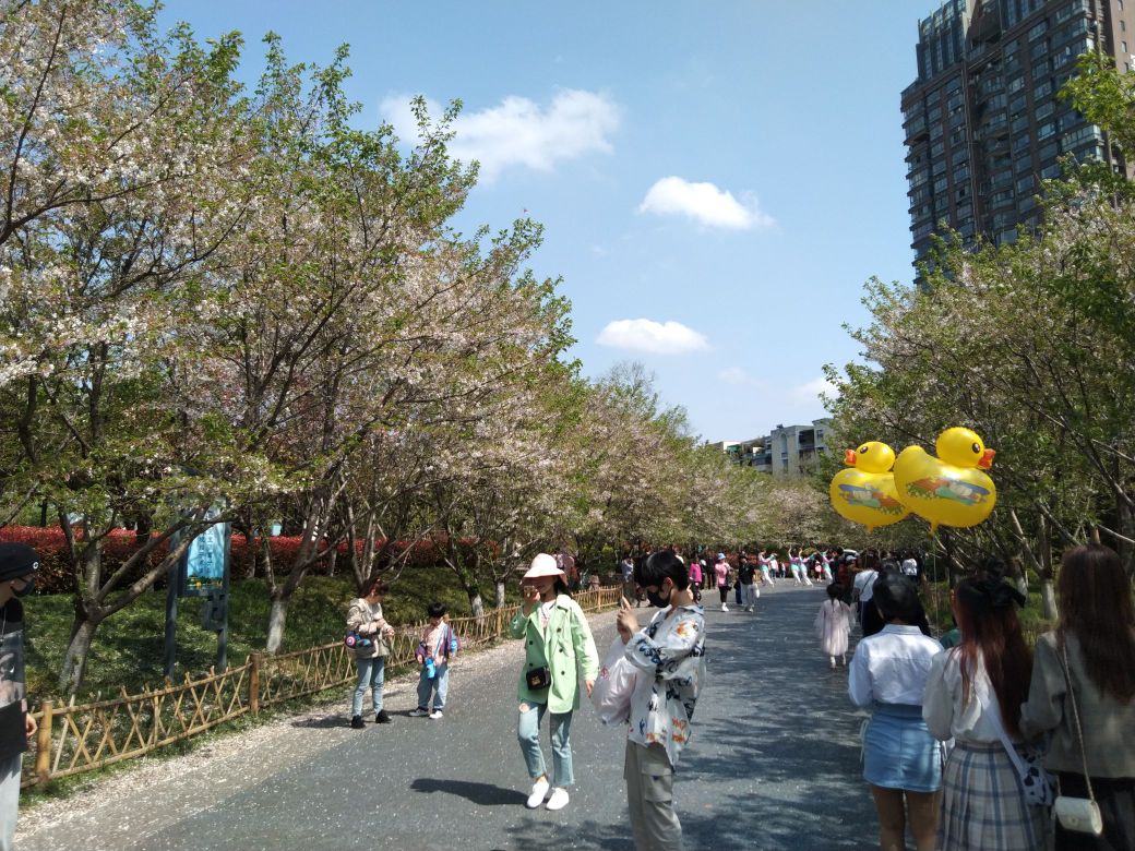 金华国际友城公园
