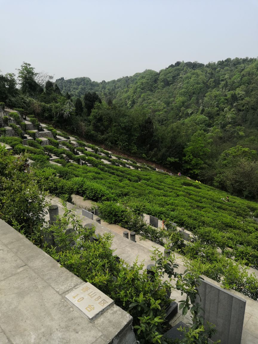 四川省成都市彭州市丹景山镇双松村