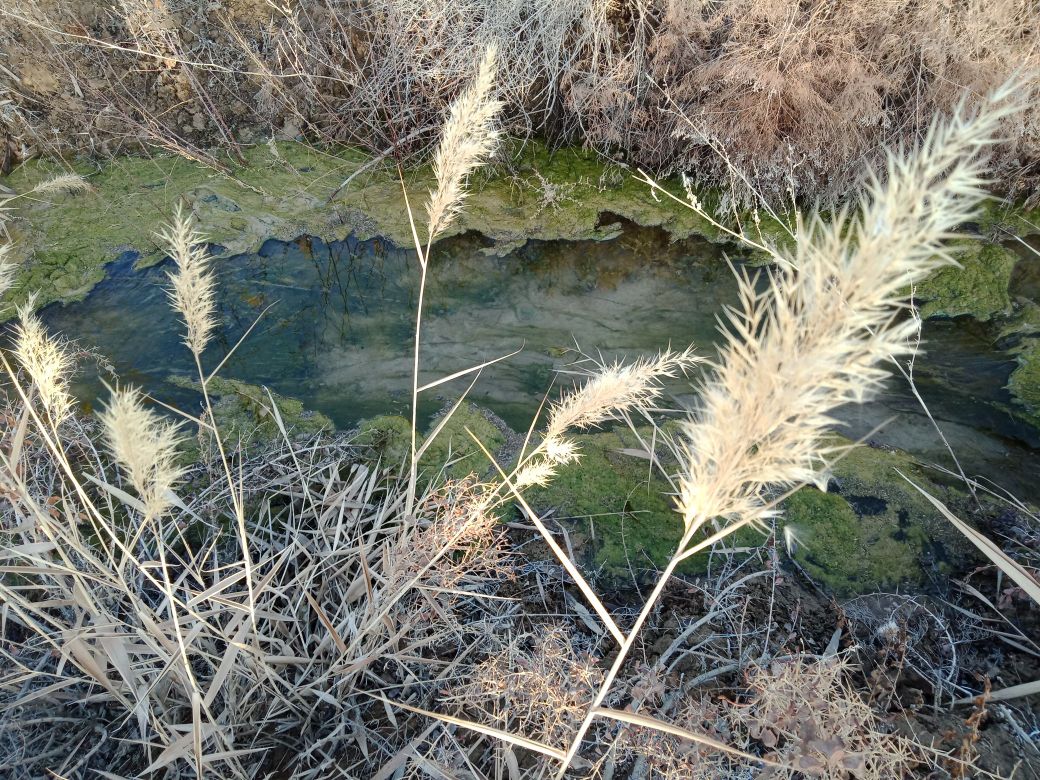 新疆维吾尔自治区塔城地区乌苏市第七师胡杨河市125团得卡段附近