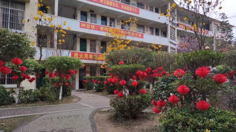 宁明县城镇第一中学