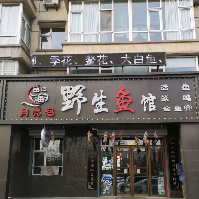 田记月亮泡野生鱼馆(锦江花园二区店)
