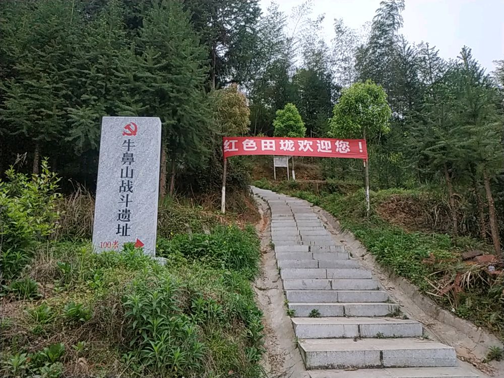 牛鼻山战斗遗址