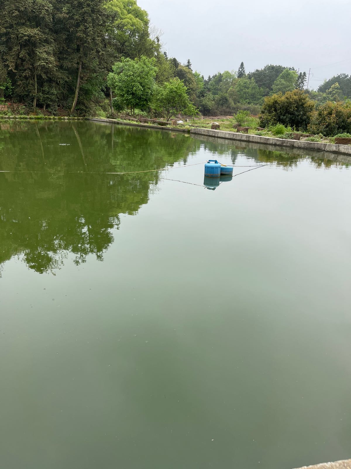 江西省鹰潭市月湖区东川村