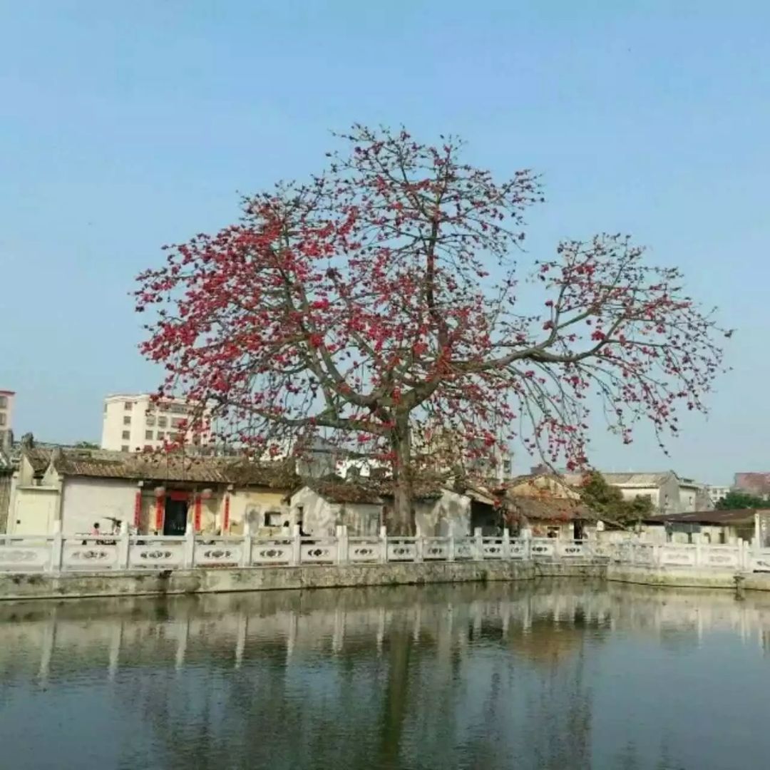 斗文公园(鼎泰园)