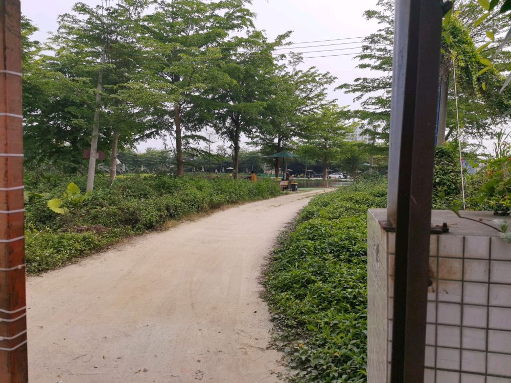 金目钓场
