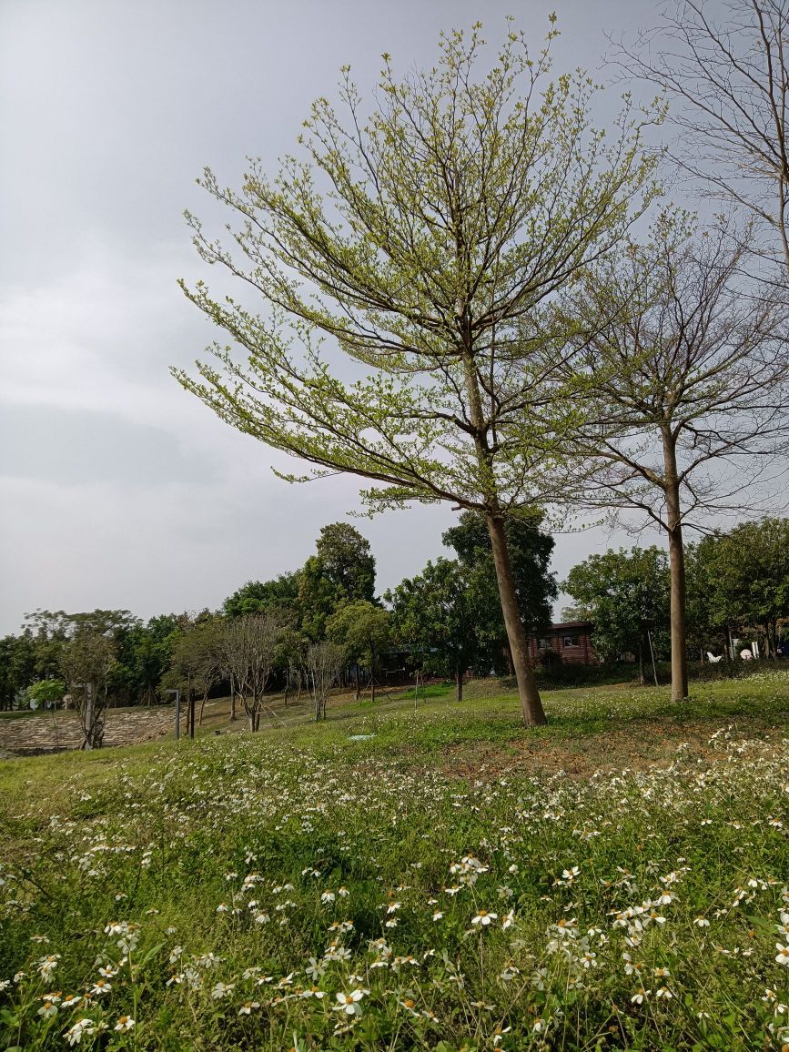 芗城野郊公园